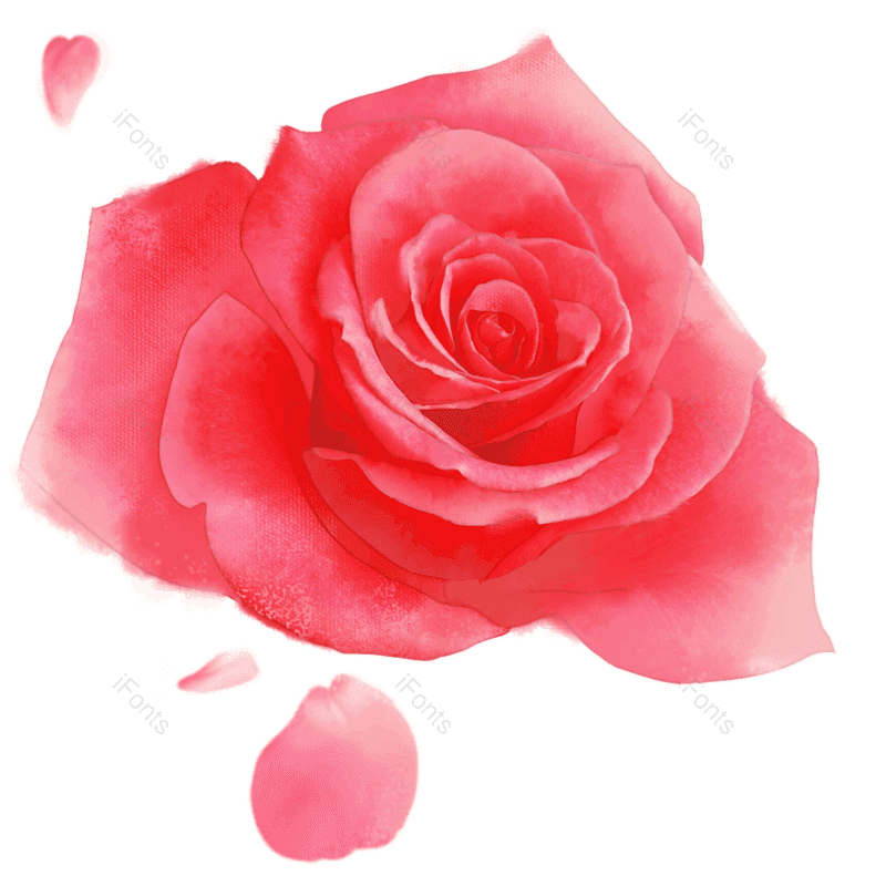 玫瑰花图片,水彩花元素,卡通玫瑰花PNG,装饰花朵免抠素材